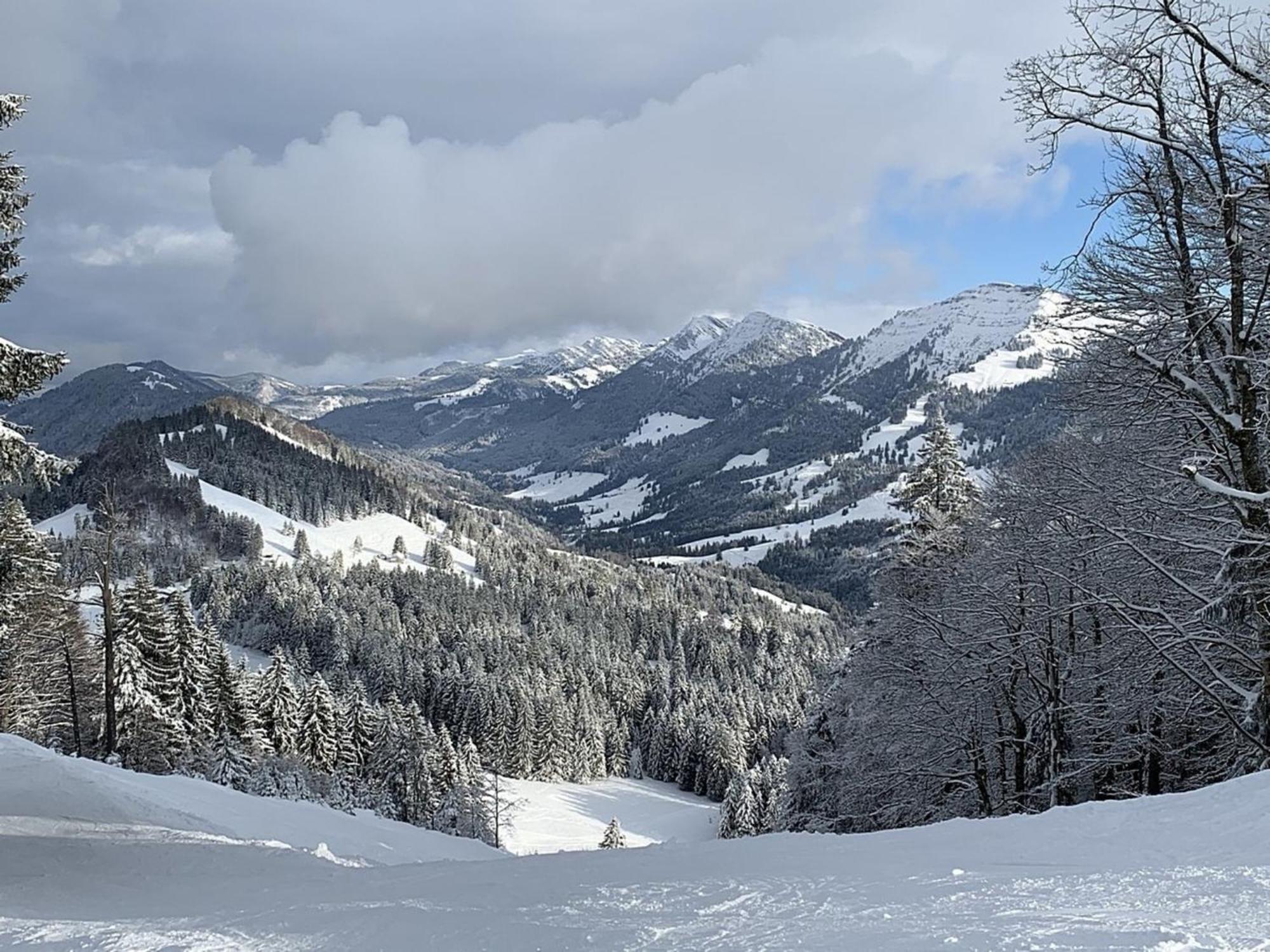 Appartement Nr 19, Alpenappartementhaus, Oberstaufen-Steibis, Allgaeu, Oberstaufen Plus Extérieur photo