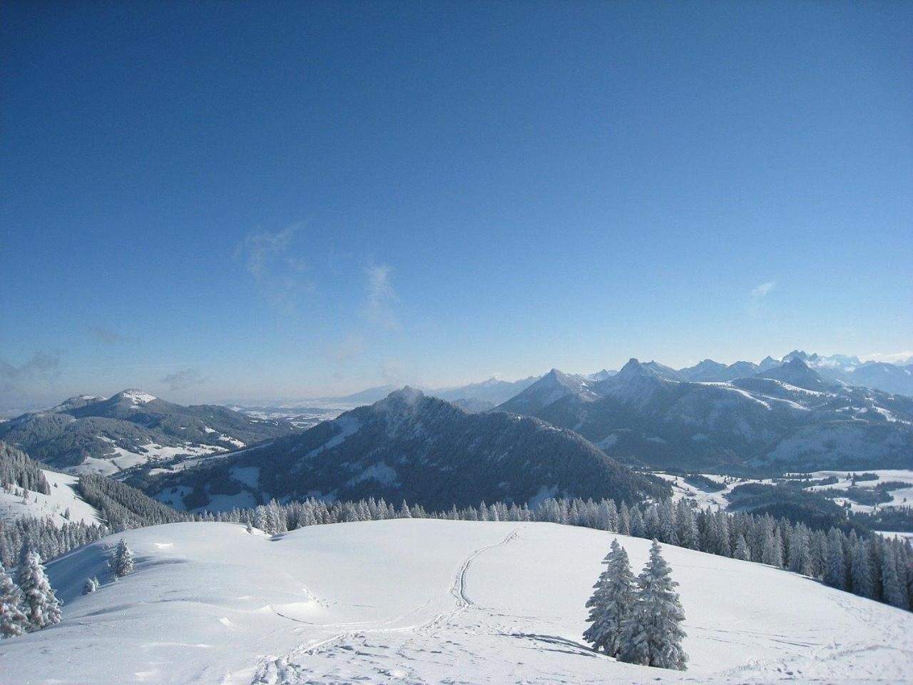 Appartement Nr 19, Alpenappartementhaus, Oberstaufen-Steibis, Allgaeu, Oberstaufen Plus Extérieur photo